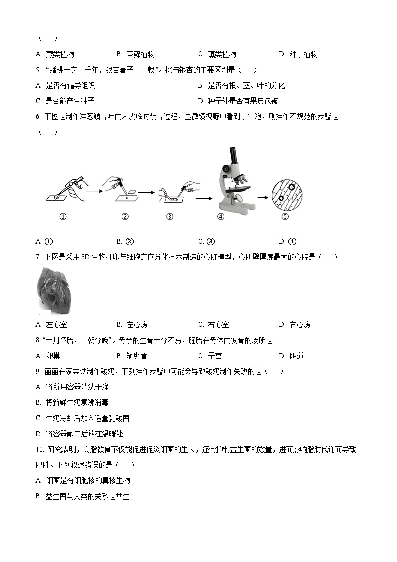 2025年广东省湛江市中考一模生物试题（原卷版+解析版）第2页