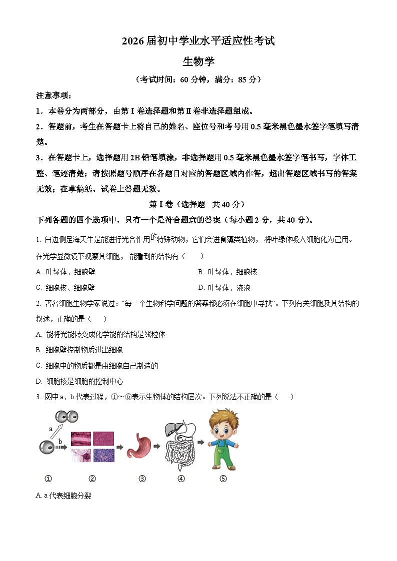 2025年四川省成都市温江区中考一模生物试题（原卷版+解析版）第1页