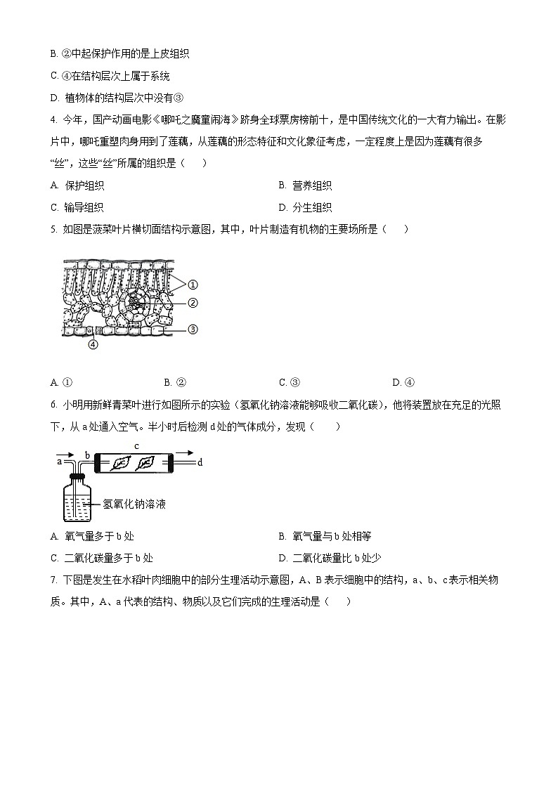 2025年四川省成都市温江区中考一模生物试题（原卷版+解析版）第2页