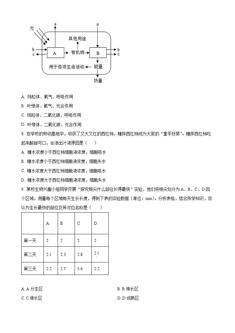 2025年四川省成都市温江区中考一模生物试题（原卷版+解析版）第3页