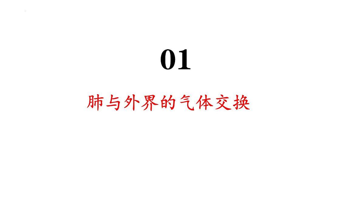 4.3.2 发生在肺内的气体交换 课件 2025学年人教版生物七年级下册第4页