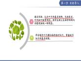 實驗03 認識葉片的結構-【實驗專攻】2025學年七年級生物下冊實驗精講課（蘇教版2024）課件