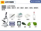 實驗03 認識葉片的結構-【實驗專攻】2025學年七年級生物下冊實驗精講課（蘇教版2024）課件