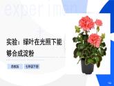 實驗04 綠葉在光照下能夠合成淀粉-【實驗專攻】2025學年七年級生物下冊實驗精講課（蘇教版2024）課件
