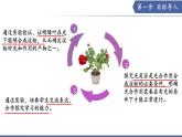 實驗04 綠葉在光照下能夠合成淀粉-【實驗專攻】2025學年七年級生物下冊實驗精講課（蘇教版2024）課件