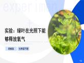 實驗05 綠葉在光照下能夠釋放氧氣-【實驗專攻】2025學年七年級生物下冊實驗精講課（蘇教版2024）課件