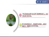 實驗05 綠葉在光照下能夠釋放氧氣-【實驗專攻】2025學年七年級生物下冊實驗精講課（蘇教版2024）課件