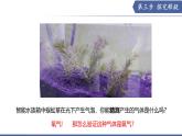 實驗05 綠葉在光照下能夠釋放氧氣-【實驗專攻】2025學年七年級生物下冊實驗精講課（蘇教版2024）課件