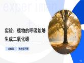 實驗06 植物的呼吸能夠生成二氧化碳-【實驗專攻】2025學年七年級生物下冊實驗精講課（蘇教版2024）課件