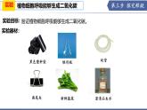 實驗06 植物的呼吸能夠生成二氧化碳-【實驗專攻】2025學年七年級生物下冊實驗精講課（蘇教版2024）課件