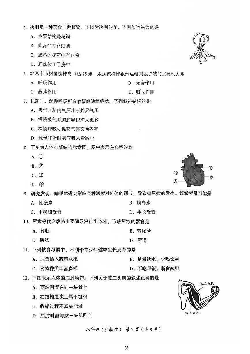2025北京海淀初二一模[中考模拟]生物试卷第2页