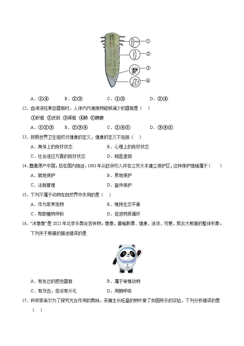 2025年中考第二次模拟考试卷：生物（宁夏卷）（考试版）第3页