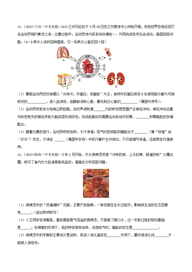 备战2025年中考生物真题分类汇编（全国通用）专题09人体的系统综合考查（第02期）（学生版）第3页