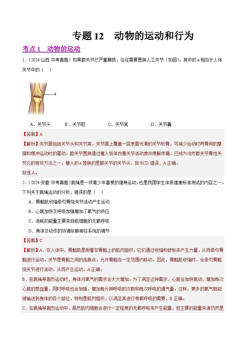 备战2025年中考生物真题分类汇编（全国通用）专题12动物的运动和行为（第01期）（教师版）第1页