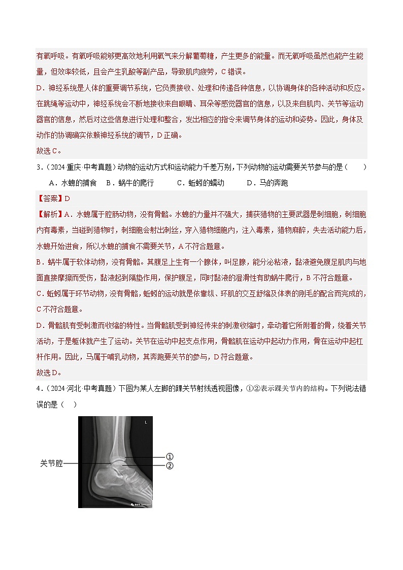 备战2025年中考生物真题分类汇编（全国通用）专题12动物的运动和行为（第01期）（教师版）第2页