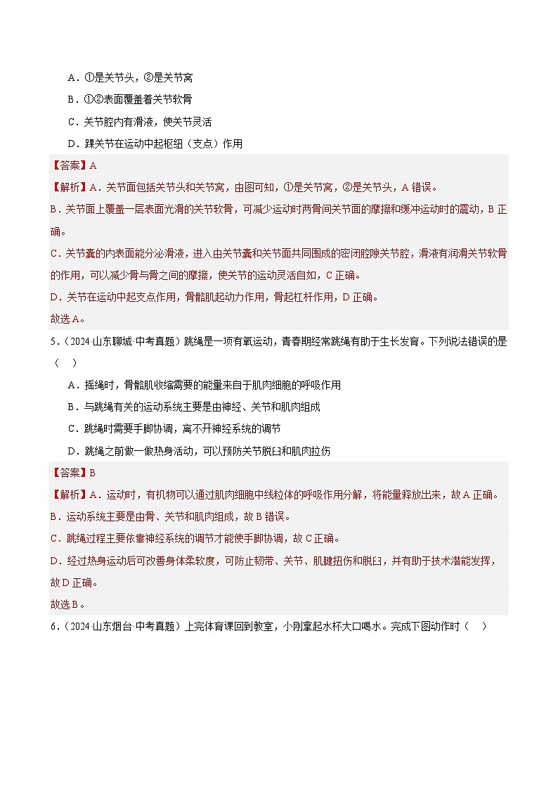 备战2025年中考生物真题分类汇编（全国通用）专题12动物的运动和行为（第01期）（教师版）第3页