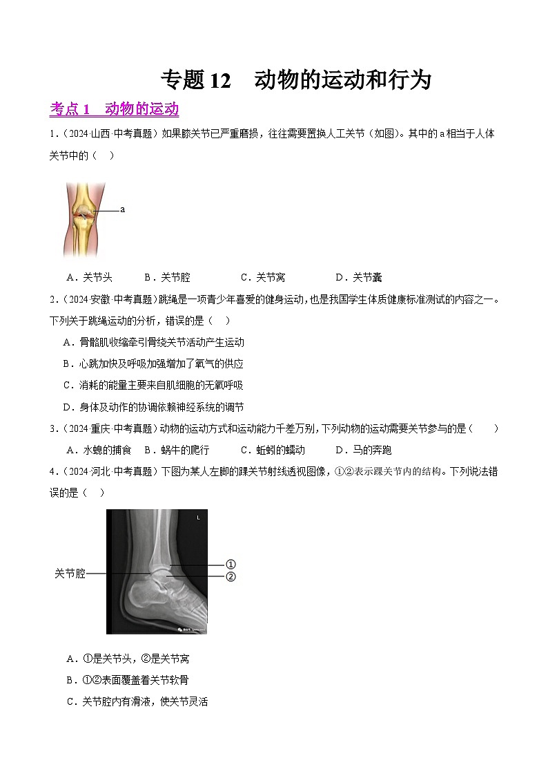 备战2025年中考生物真题分类汇编（全国通用）专题12动物的运动和行为（第01期）（学生版）第1页