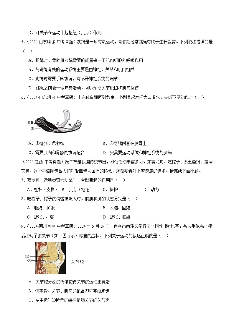 备战2025年中考生物真题分类汇编（全国通用）专题12动物的运动和行为（第01期）（学生版）第2页