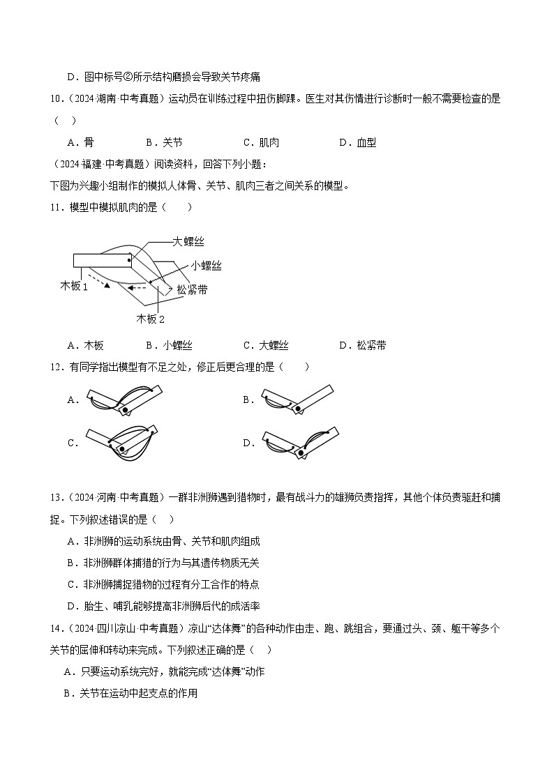 备战2025年中考生物真题分类汇编（全国通用）专题12动物的运动和行为（第01期）（学生版）第3页