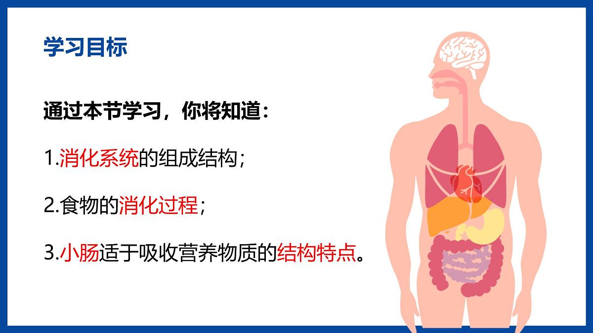 人教版生物七年级下册4.2.2《消化和吸收》课件第3页