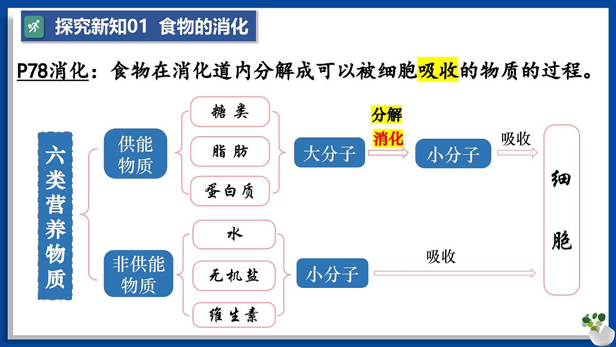 人教版生物七年级下册4.2.2《消化和吸收》课件第5页