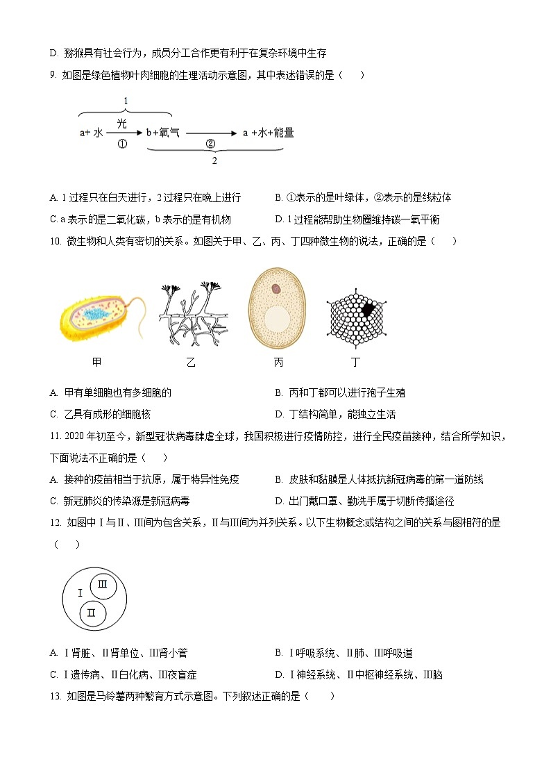 精品解析：2024年山东省济南市槐荫区中考一模生物试题（原卷版）第3页