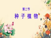 2.1.2++种子植物（第1课时）课件-2024-2025学年人教版生物七年级上册