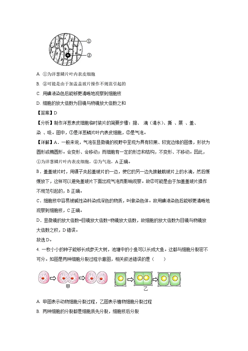 甘肃省天水市麦积区2024-2025学年七年级上学期期末生物试卷（解析版）第2页