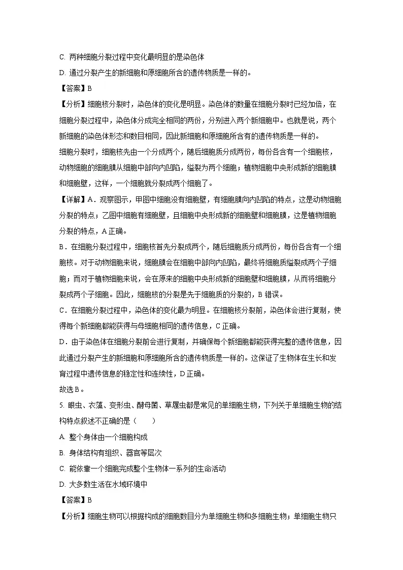 甘肃省天水市麦积区2024-2025学年七年级上学期期末生物试卷（解析版）第3页