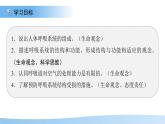 第三章第一節(jié) 呼吸系統(tǒng)的組成 課件 生物冀少版（2024）七年級(jí)下冊(cè)