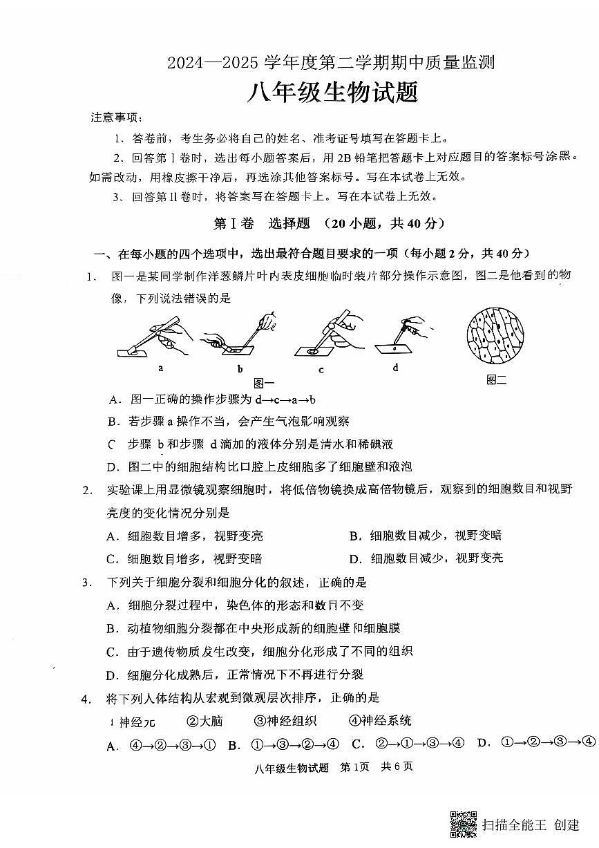 枣庄市峄城区第二十八中学2024-2025年度八年级下学期期中考试生物试卷第1页