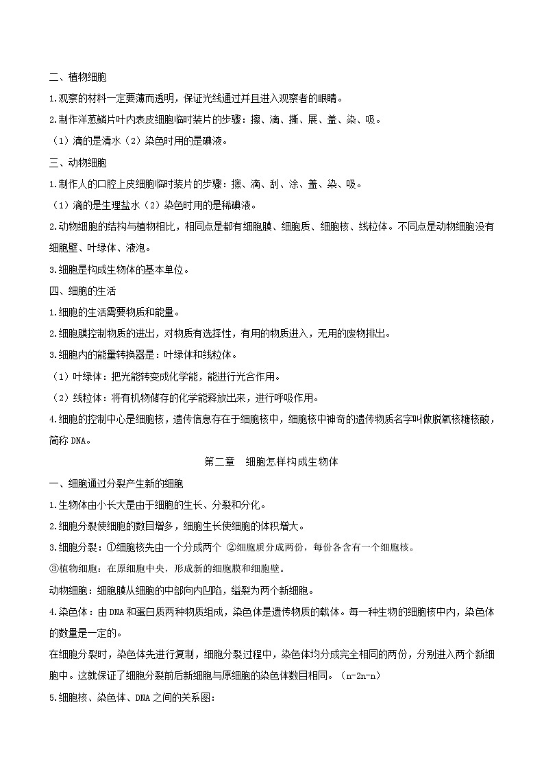 2025年中考人教版生物考点知识复习提纲 学案第3页