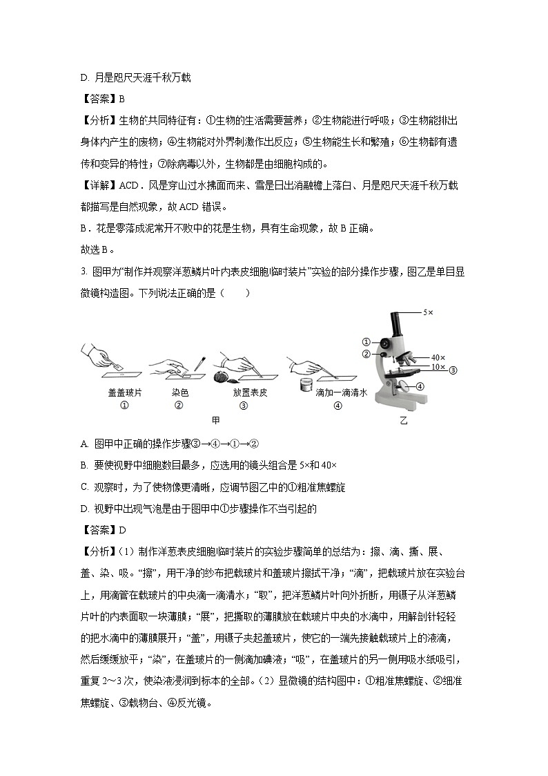 河南省驻马店市平舆县2024-2025学年七年级上学期期末生物试卷（解析版）第2页