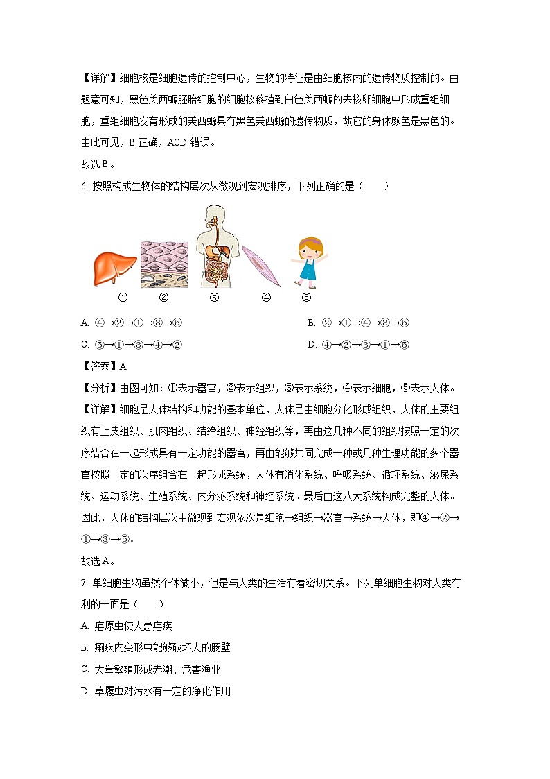 湖南省邵阳市新邵县2024-2025学年七年级上学期期末生物试卷（解析版）第3页