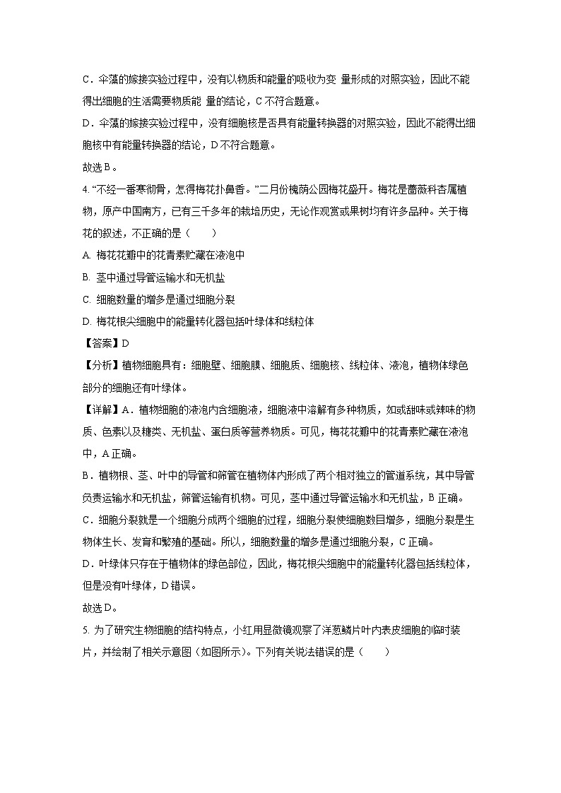 湖南省岳阳市临湘市2024-2025学年七年级上学期期末生物试卷（解析版）第3页