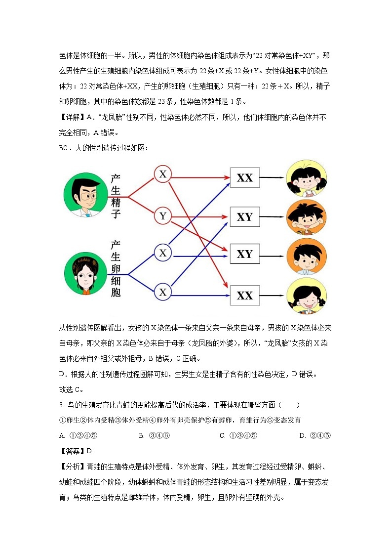 河北省廊坊市香河县2024-2025学年八年级上学期期末生物试卷（解析版）第2页