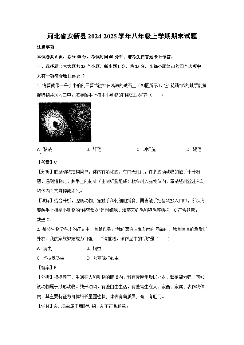 河北省安新县2024-2025学年八年级上学期期末生物试卷（解析版）第1页