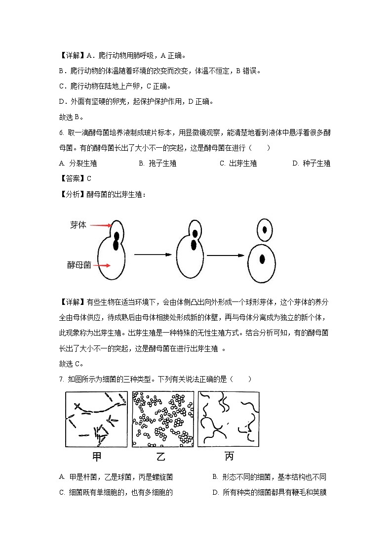 河北省安新县2024-2025学年八年级上学期期末生物试卷（解析版）第3页