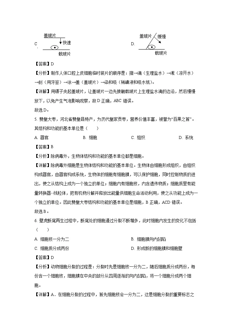 河北省保定市易县2024-2025学年七年级上学期期末生物试卷（解析版）第3页