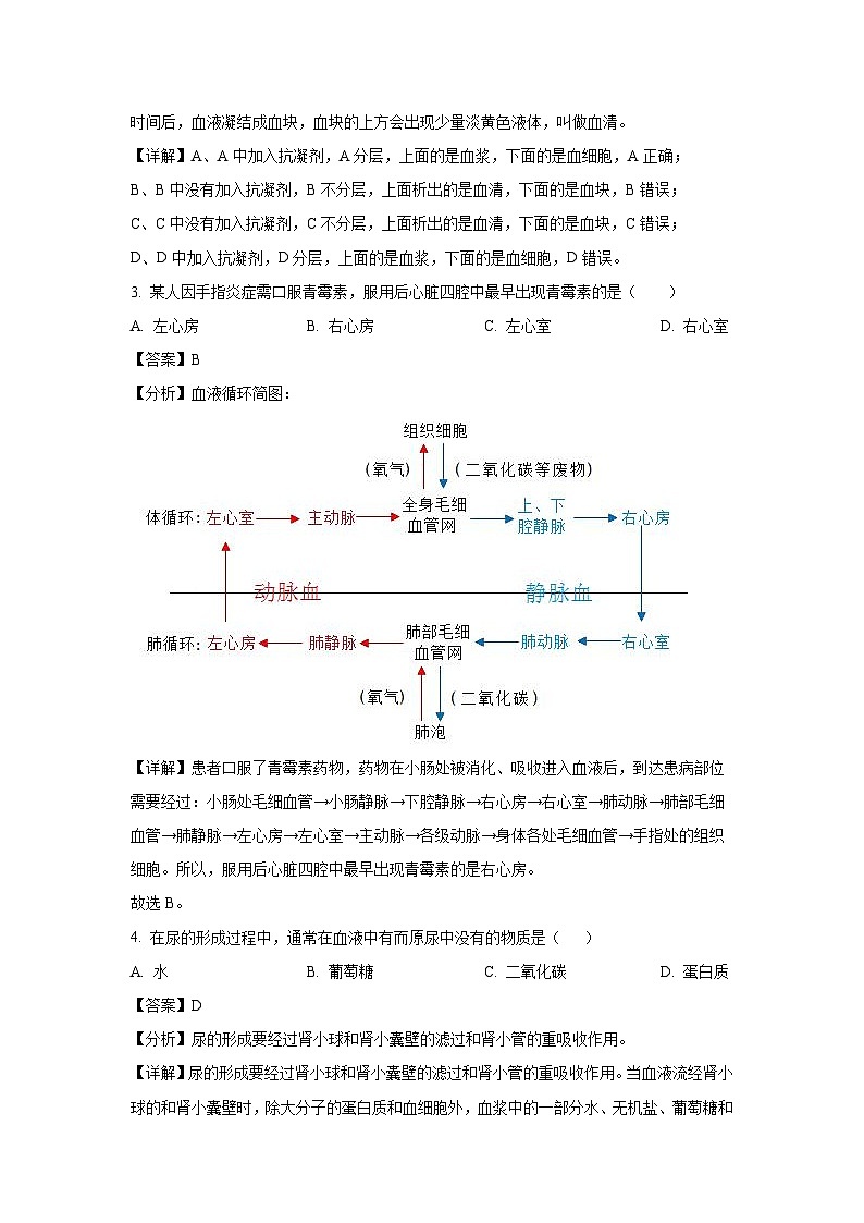 江苏省徐州市鼓楼区某校2024-2025学年八年级10月月考学生物试卷（解析版）第2页
