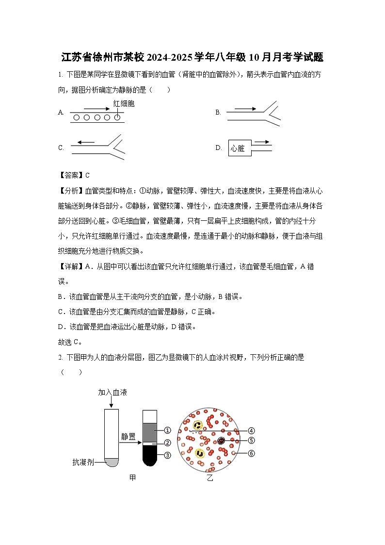 江苏省徐州市某校2024-2025学年八年级10月月考学生物试卷（解析版）第1页