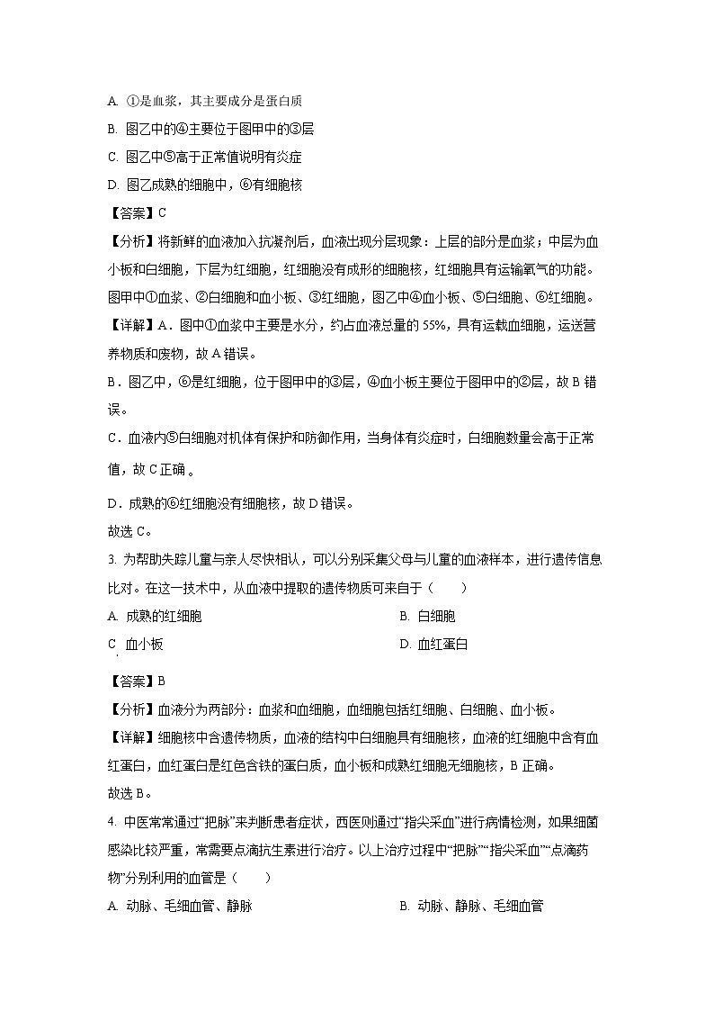 江苏省徐州市某校2024-2025学年八年级10月月考学生物试卷（解析版）第2页