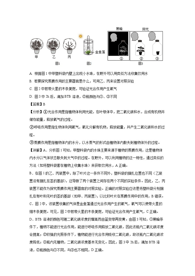 江苏省徐州市某校2024-2025学年八年级上12月月考生物试卷（解析版）第2页