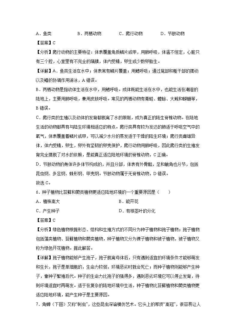 备战2025年中考模拟卷07（河北专用）生物试卷（解析版）第3页