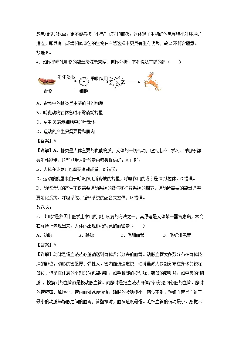 备战2025年中考模拟卷06（徐州专用）生物试卷（解析版）第3页
