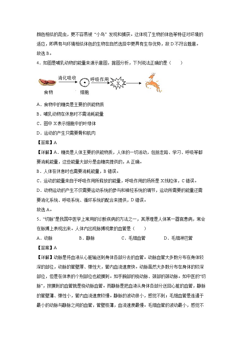 备战2025年中考模拟卷06（徐州专用）生物试卷（解析版）第3页