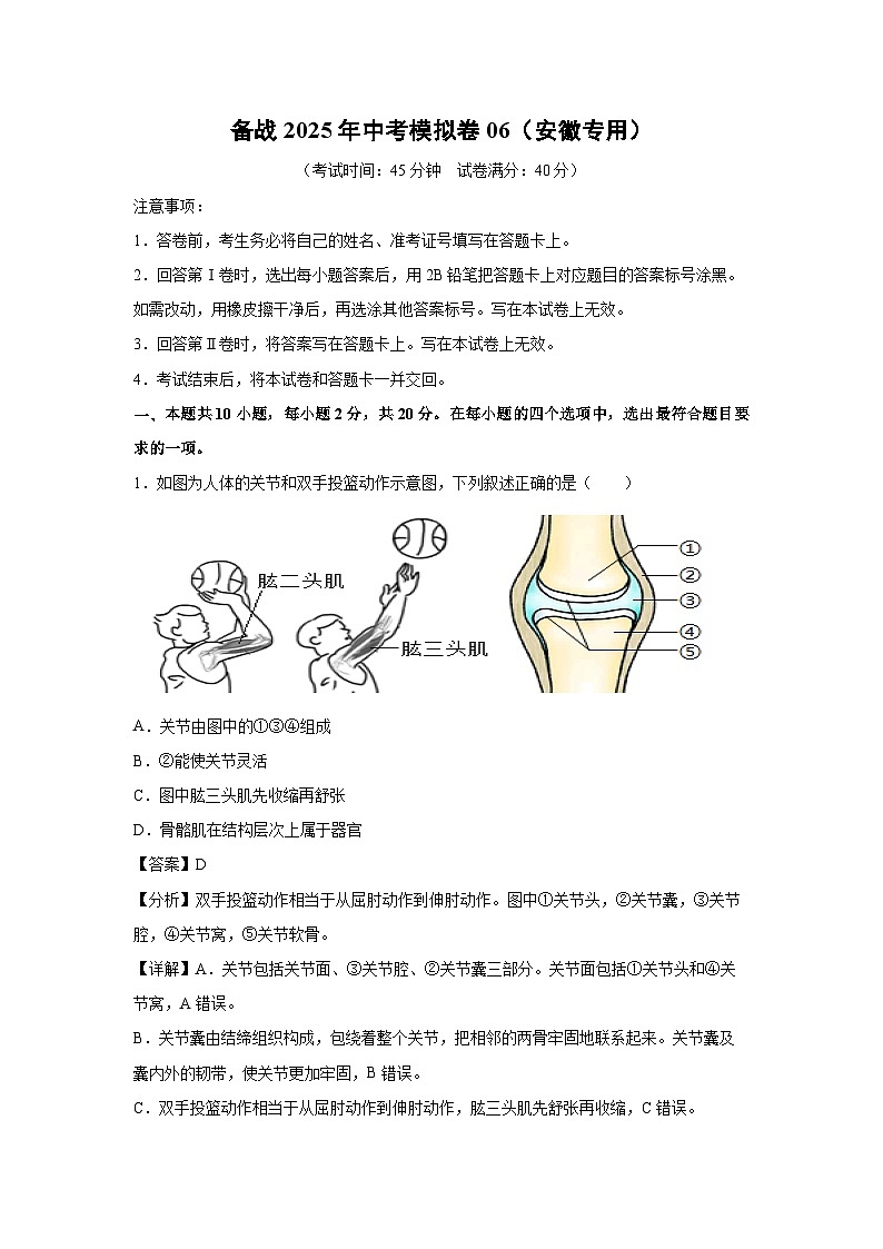 备战2025年中考模拟卷06（安徽专用）生物试卷（解析版）第1页