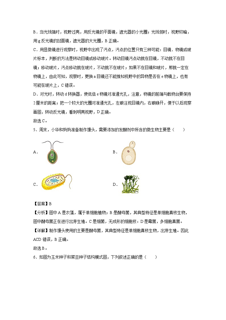 备战2025年中考模拟卷05（重庆专用）生物试卷（解析版）第3页