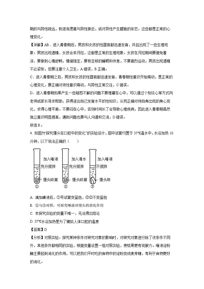 山东省济南市莱芜区2024-2025学年七年级上学期期末生物试卷（解析版）第3页