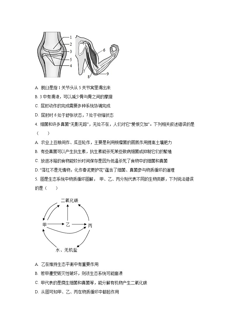 山东省临沂市河东区2024-2025学年八年级上学期期末生物试卷（解析版）第2页